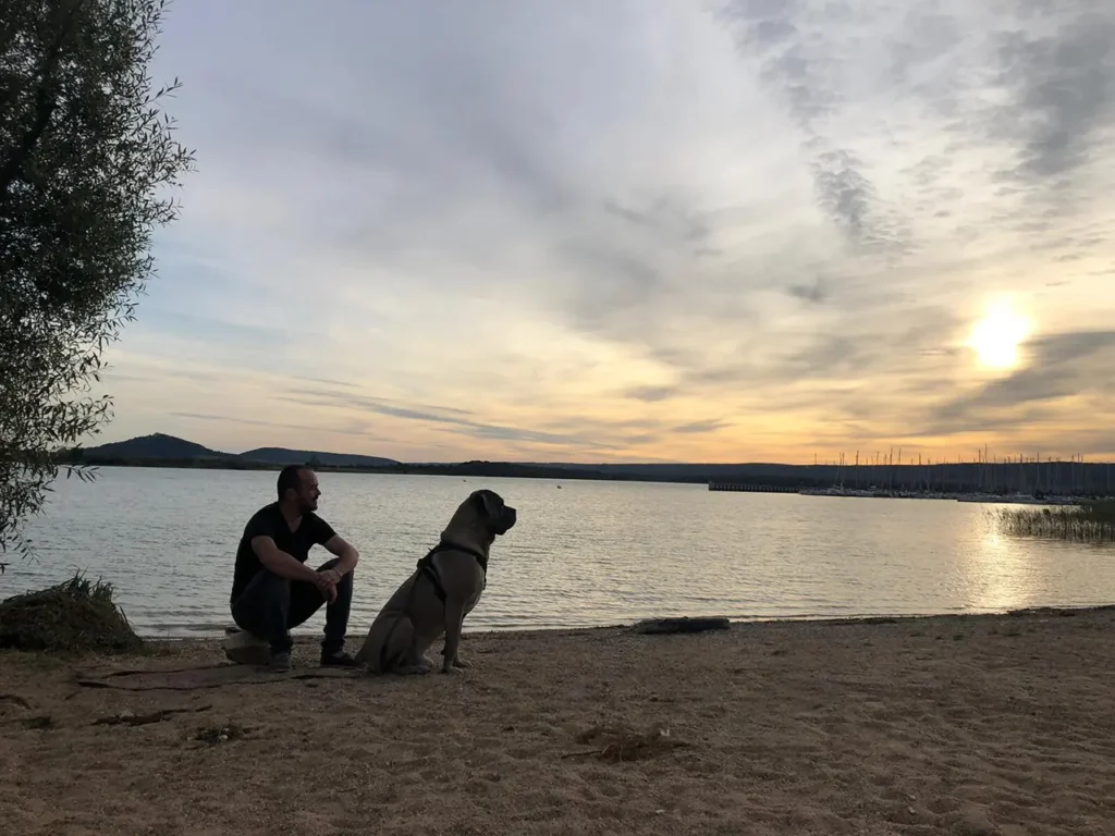Chien plage sans objet